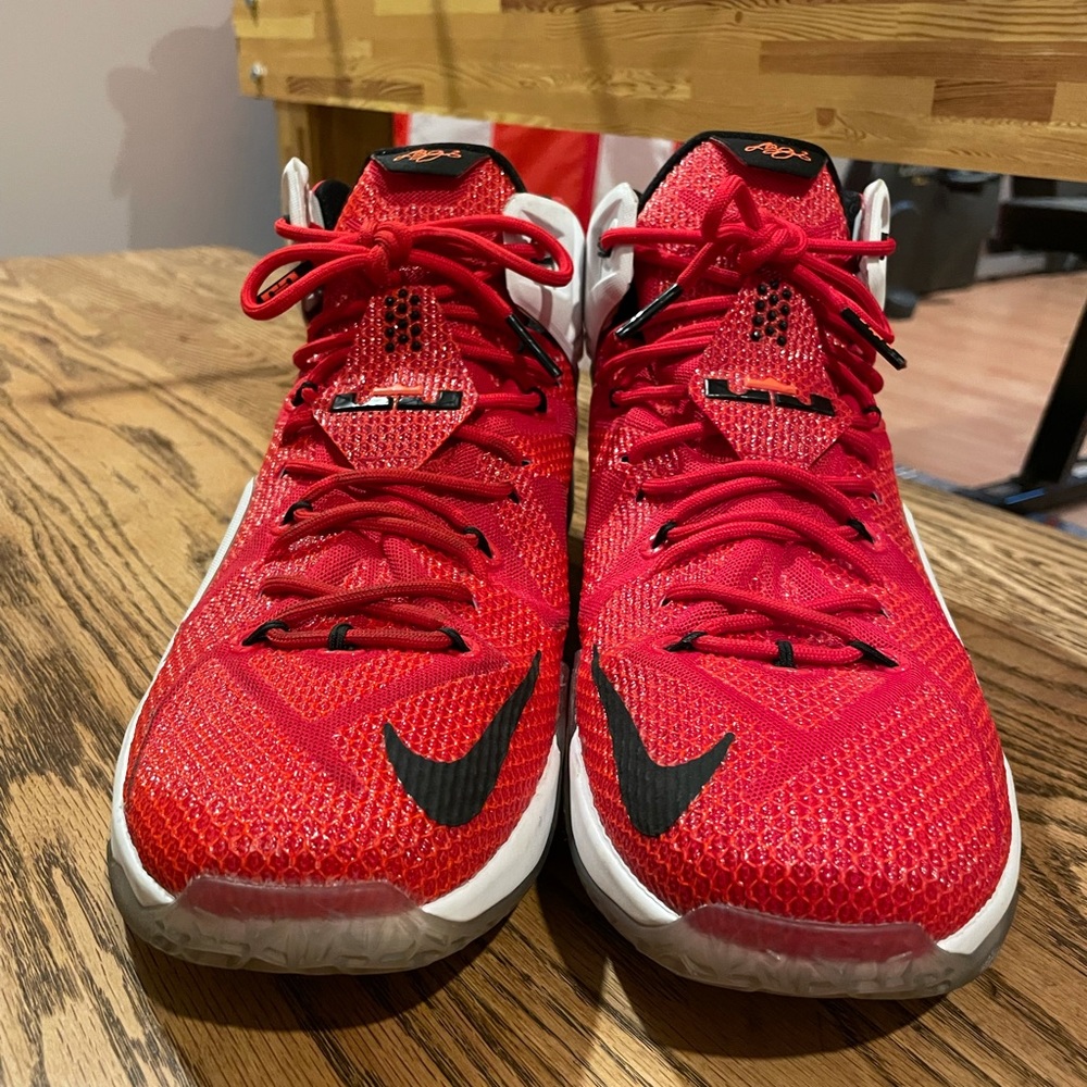 Lebron 12 XII Heart of a Lion Size 13. MINT!
